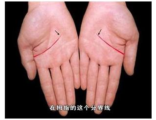 八卦图，古老智慧的现代解读