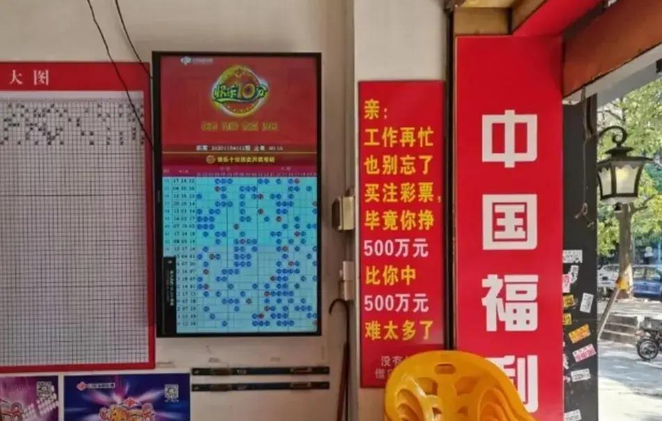 福建福利彩票开奖直播，透明、公正与公益的完美结合