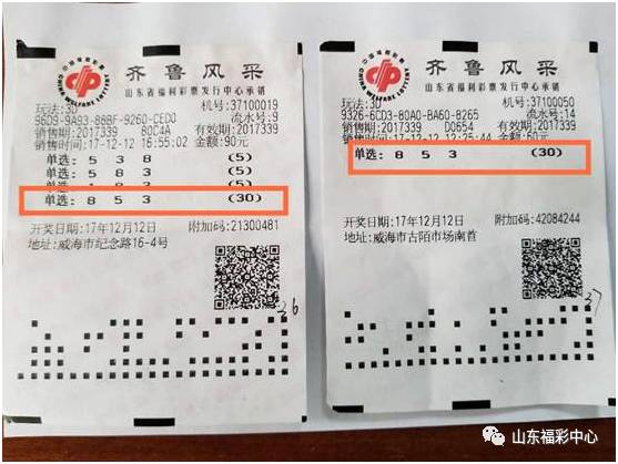 体育彩票，揭秘开奖日期与时间的奥秘