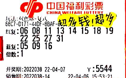探索双色球四分区彩经网，解锁数字游戏中的智慧与乐趣