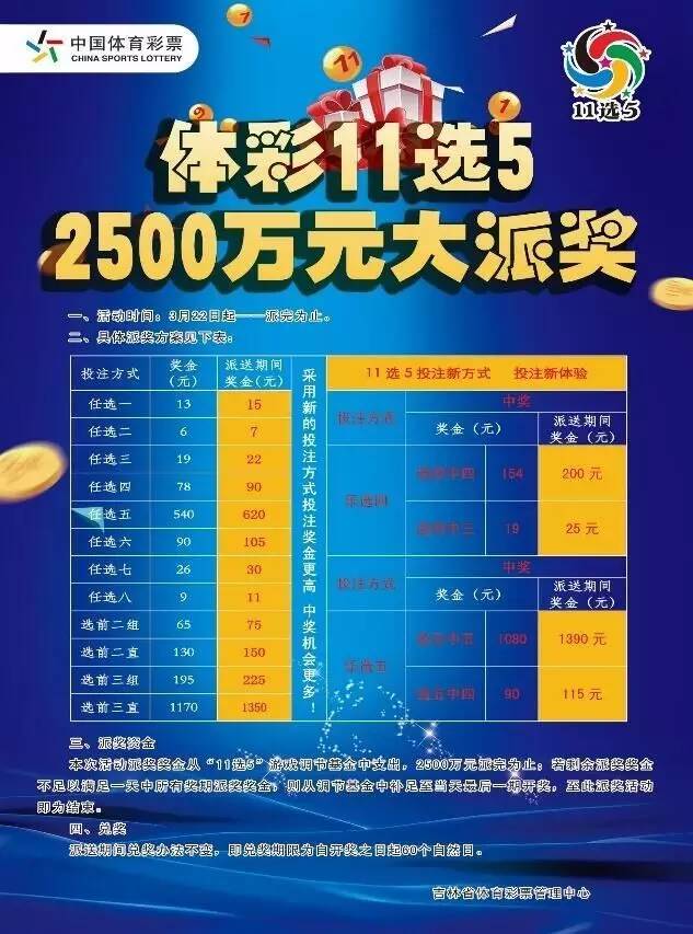 15选５，揭秘彩票投注的智慧与乐趣
