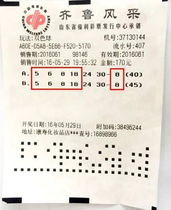 2019年双色球第45期开奖结果查询，揭秘幸运数字，探寻中彩秘诀