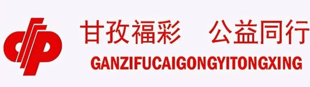 福彩最新开奖公告，公益与梦想的精彩碰撞