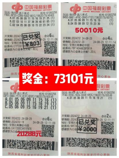 三十一选七，中国体育彩票的独特魅力与责任担当