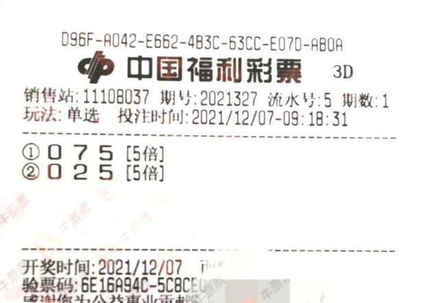 揭秘双色球2045期开奖号码结果，彩民们的期待与惊喜