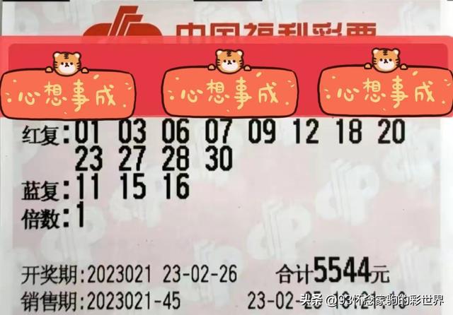 2019年双色球结果开奖号，幸运的数字与梦想成真的瞬间