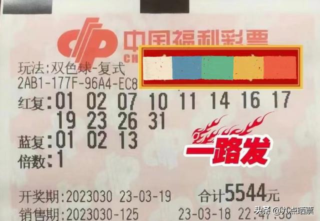 探索双色球奥秘，17508乐彩网首页的双色彩与数字的魅力