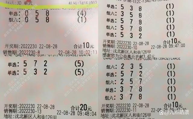 3D2095期，海滨之语，定胆取胜