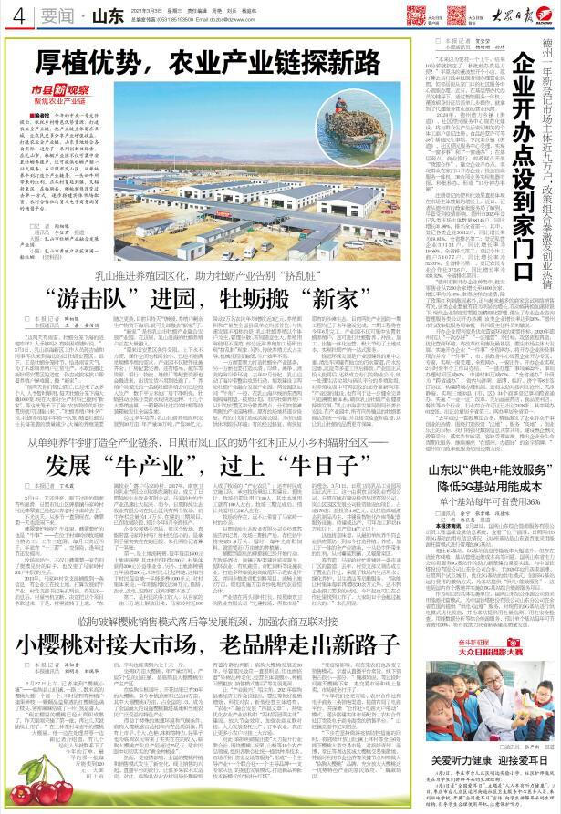丹东解太湖天龙一语字谜，3D视角下的文化探索与智慧启迪