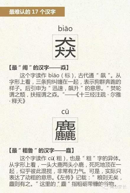 破解最难字谜的智慧之旅