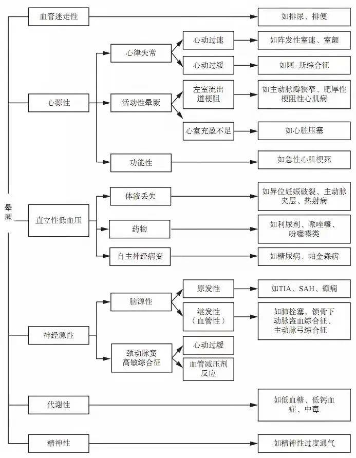 福彩与体彩超全指南，揭秘开奖日期背后的奥秘