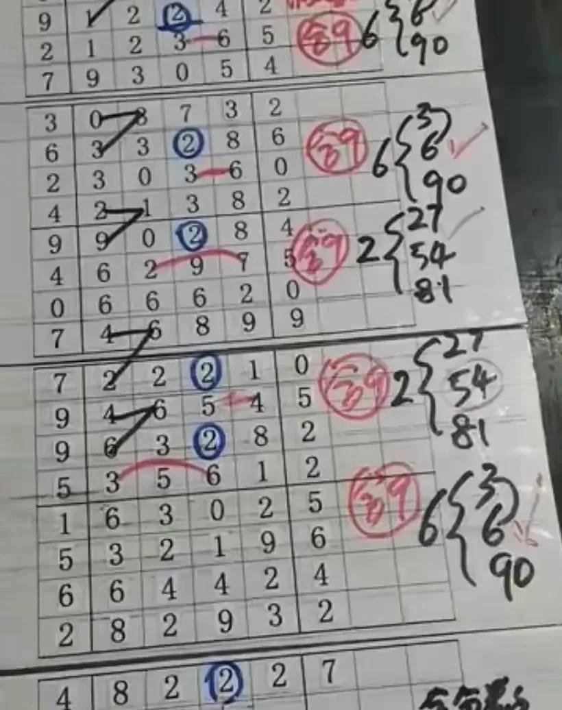 排列五预测，数字游戏中的智慧与策略