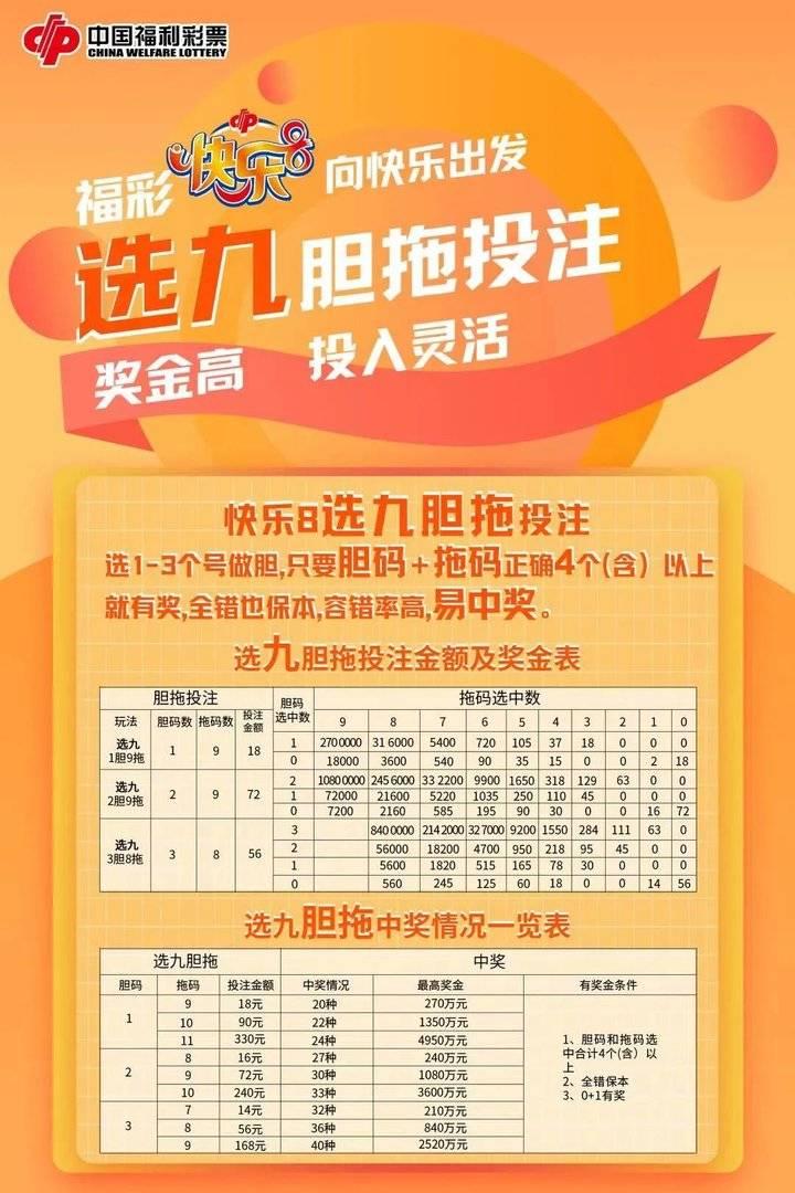 胆拖计算器，一心多用的智慧之选