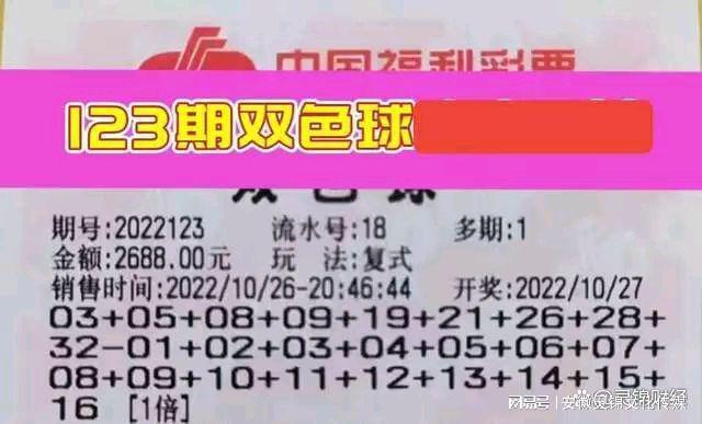 89期双色球揭秘，数字背后的幸运与期待