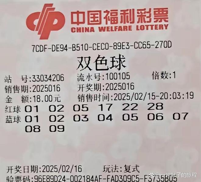 探索双色球世界，揭秘便捷的双彩查询网址