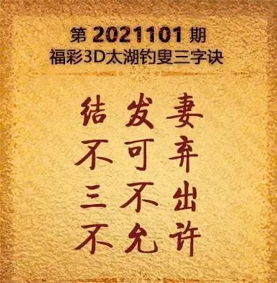 探索3D太湖字迷，一场智慧与趣味的盛宴