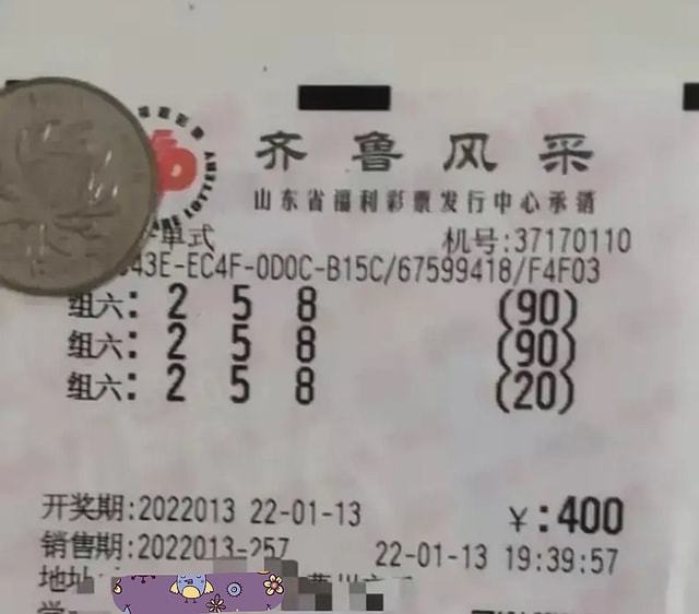 齐鲁风采双色球，揭秘山东彩民的幸运之选