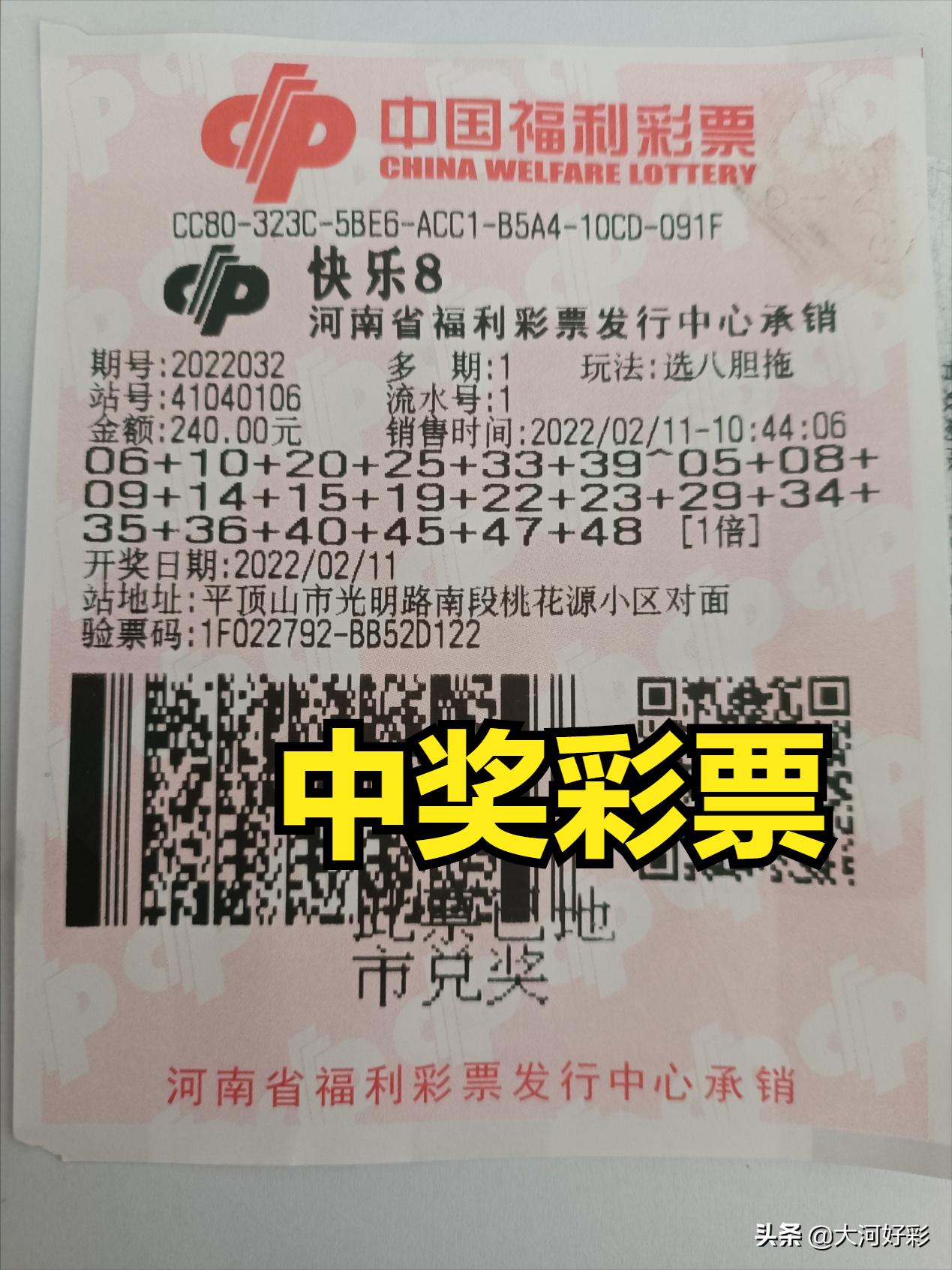 今日四川快乐8开奖结果查询，揭秘幸运数字的奥秘