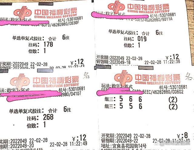 2013年体彩排列三，数字游戏中的幸运与期待