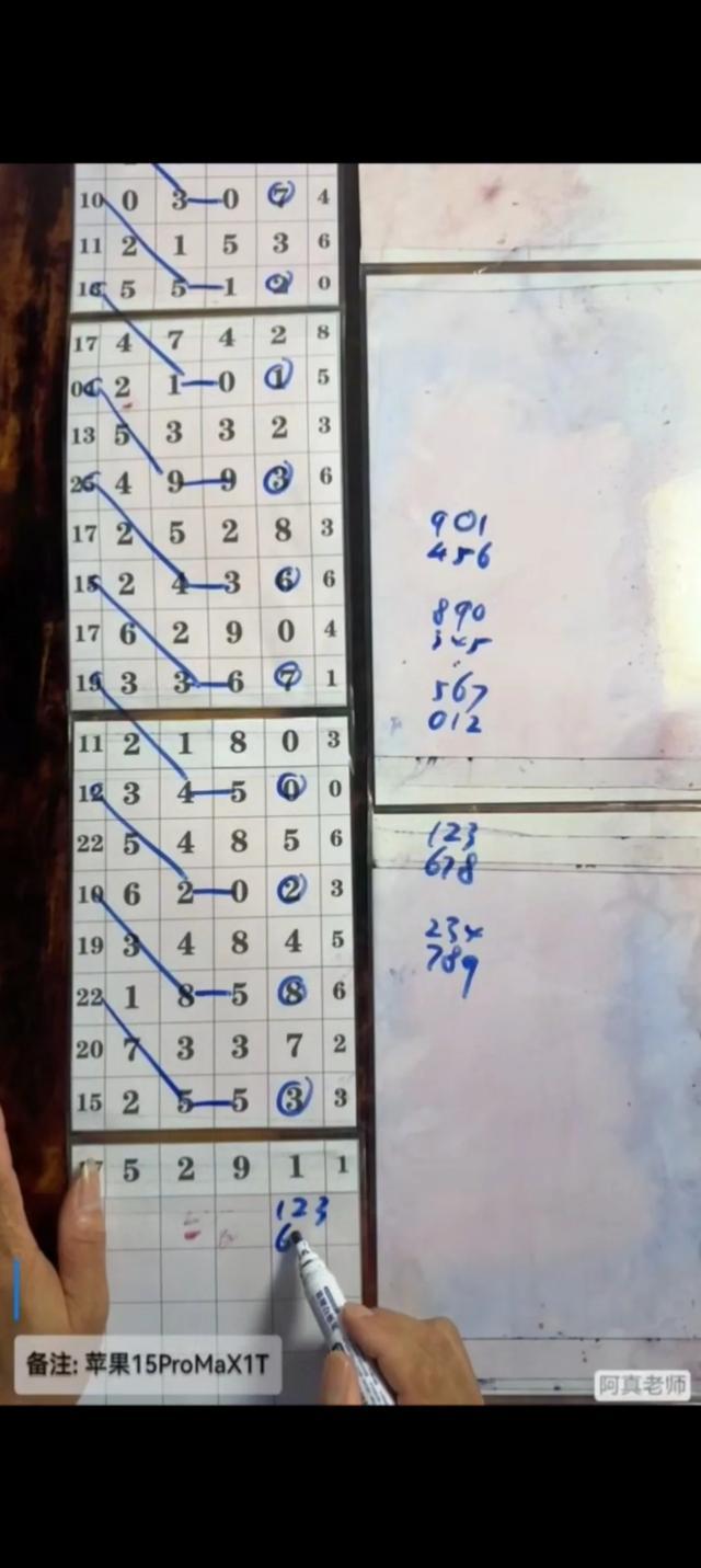 体育彩票排列5，解析全部走势图，洞悉数字背后的奥秘