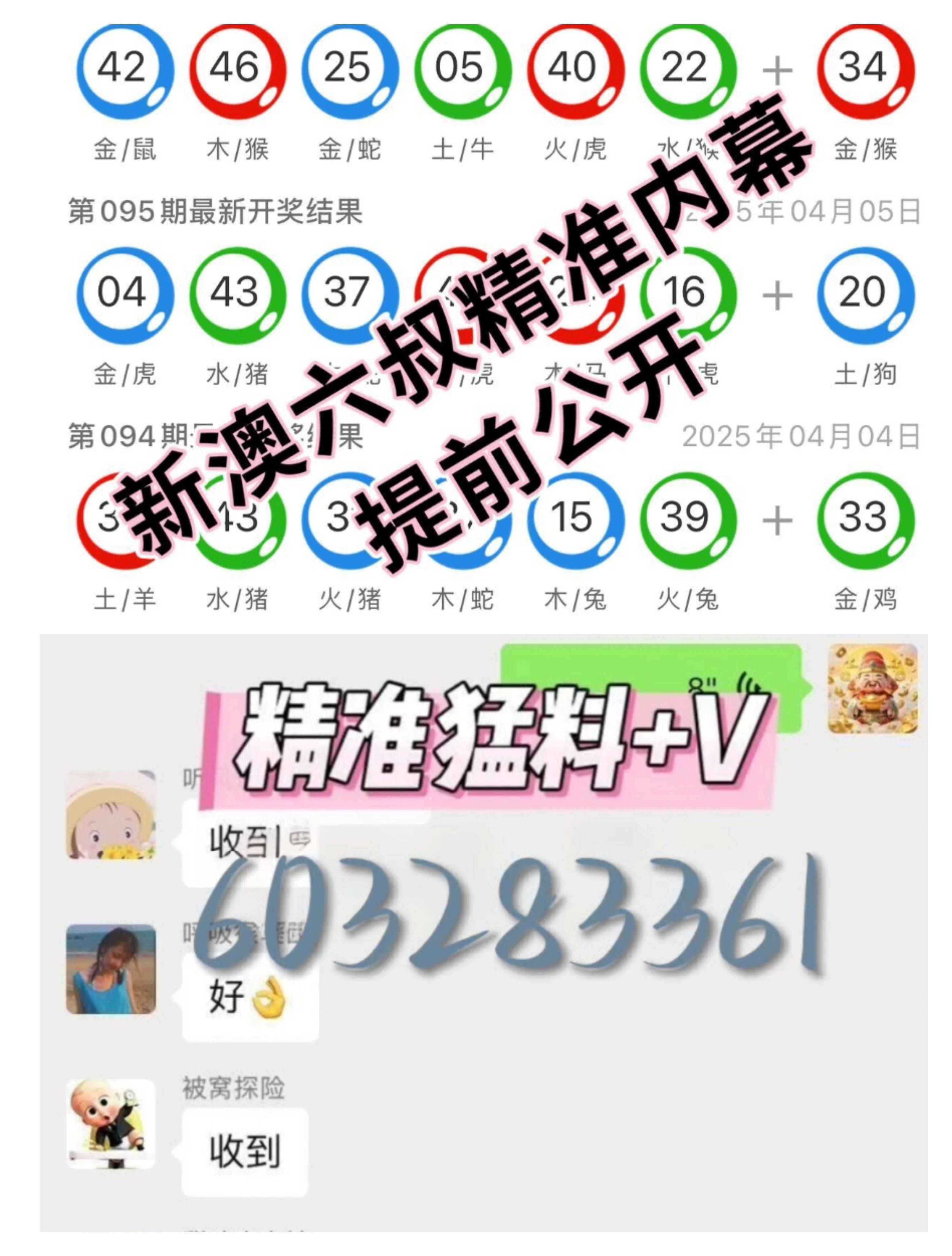 65期香港开码结果，揭秘与解读