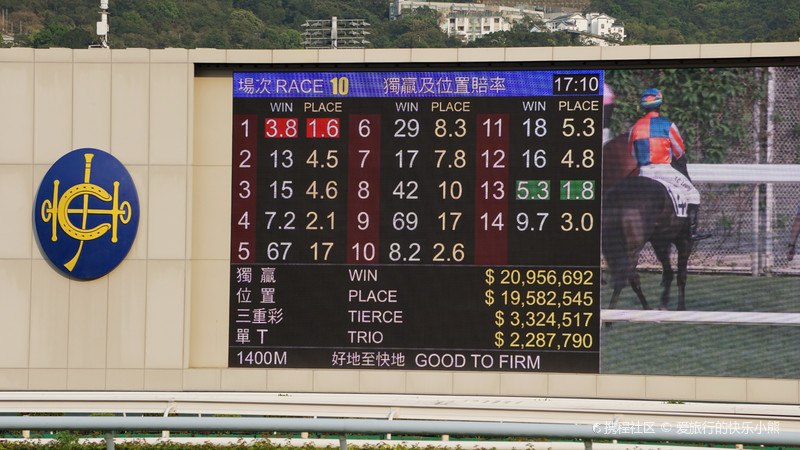 开马结果大全，揭秘2019年香港赛马的精彩瞬间与数据分析