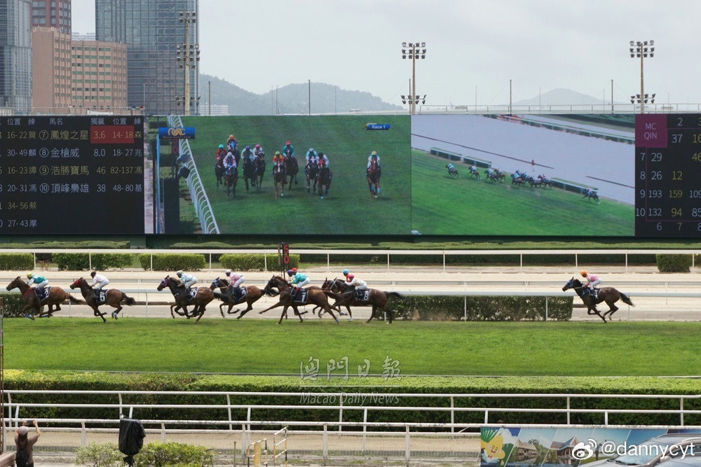 澳门2014年今晚开马结果，一场期待与惊喜的盛宴