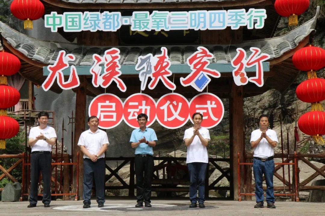揭秘开码结果与实时直播的魅力，一场数字游戏的盛宴