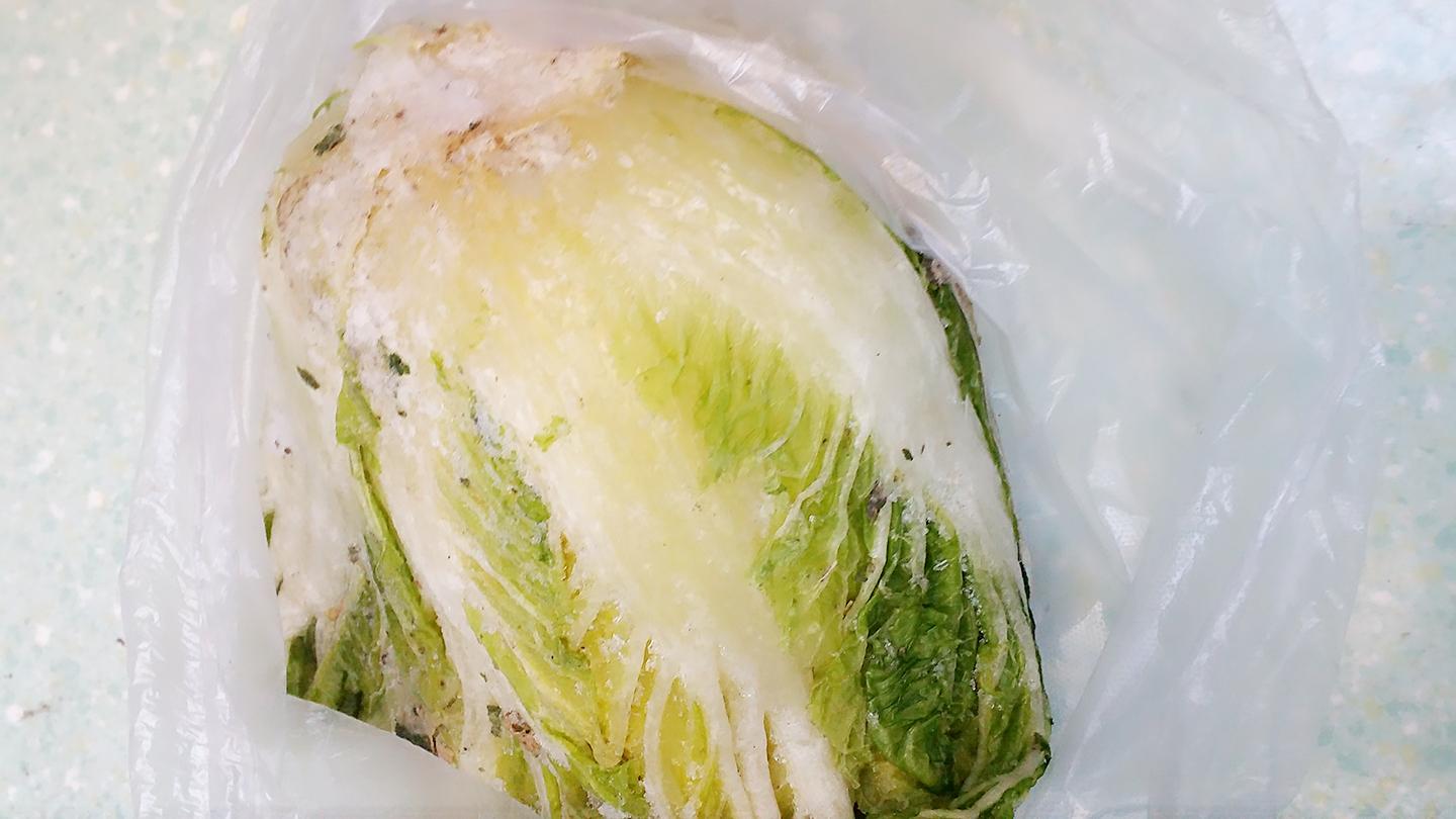拯救大白菜，冻透后的智慧处理方案