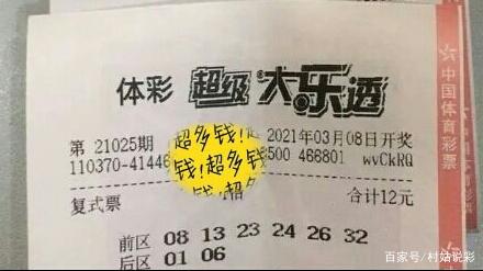 大了透胆投，计算器背后的智慧与勇气