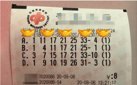 探索双色球彩票的奇妙世界，揭秘其结果组合与乐趣