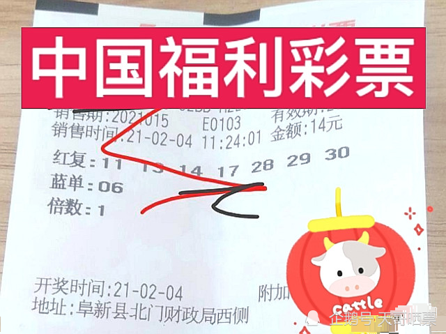 今日双色球开奖揭晓，梦想与幸运的碰撞
