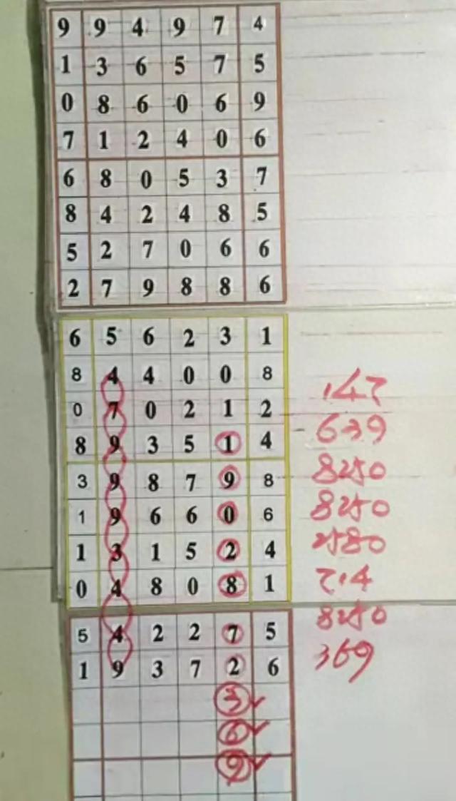 今日开奖结果，揭秘排列五的奇妙数字世界