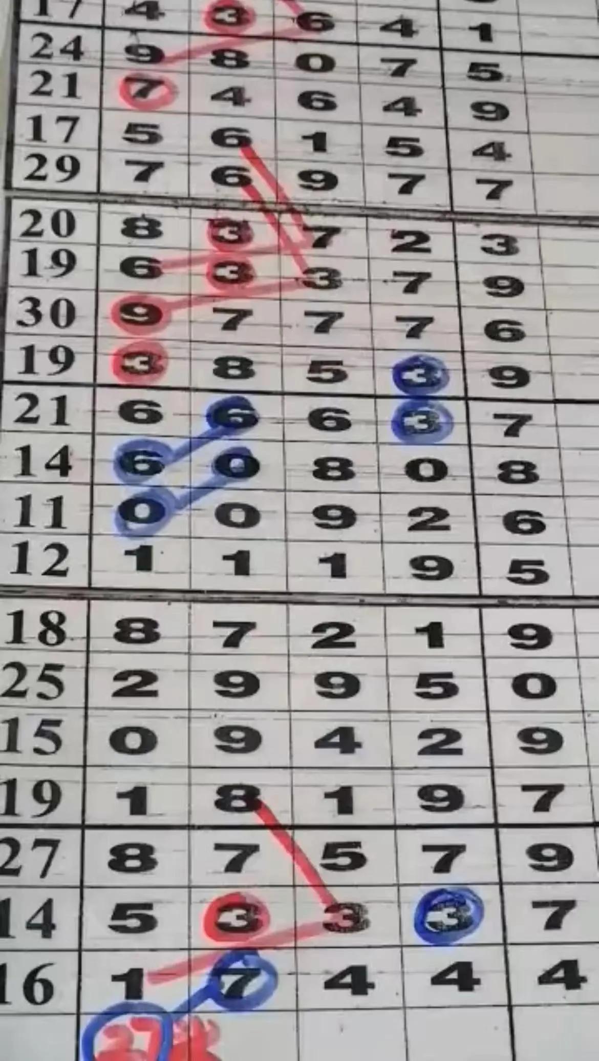 彩票走势网，解锁数字背后的秘密