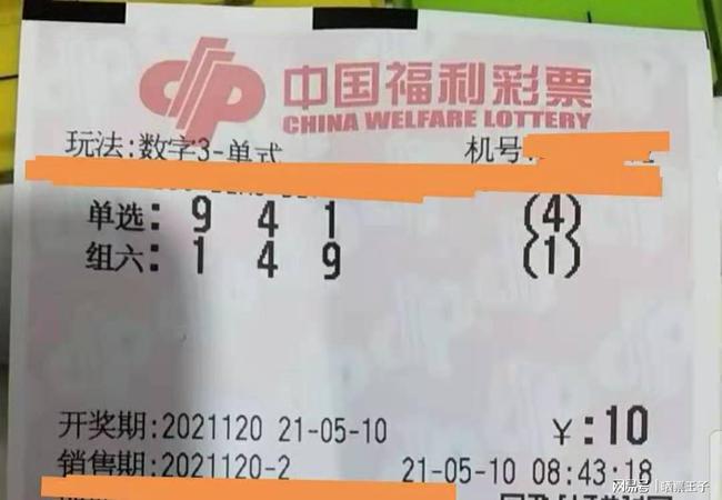 203年最新中国福利彩票中奖号码查询结果揭晓，梦想照进现实的瞬间