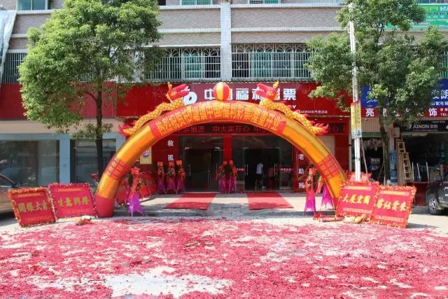 2019年，中国福利彩票中奖号码查询结果揭晓，一场数字的盛宴与梦想成真的瞬间
