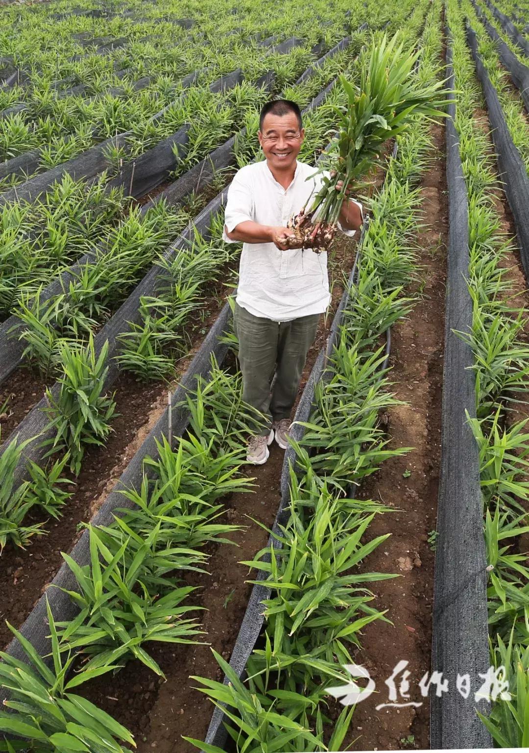 探索数字的奥秘，3D开奖结果与排列五查询指南