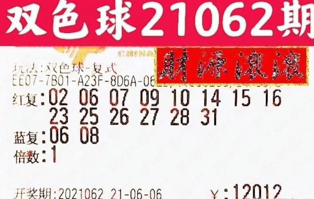 探索双色球的奇妙之旅，从数字到梦想的桥梁