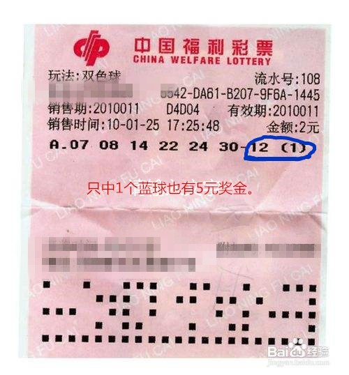 探索双色球走势，500期标准版带坐标图解析