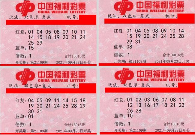 双色球开奖结果507的背后故事与影响分析