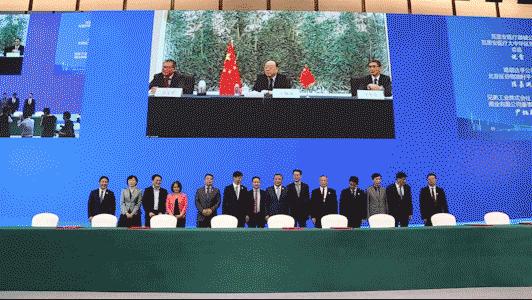 下载书，数字化时代的阅读新风尚