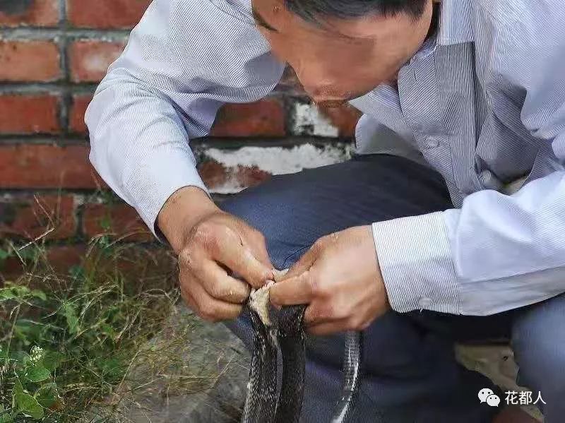 超级大乐透，揭秘基本走势图与机械号码的奥秘