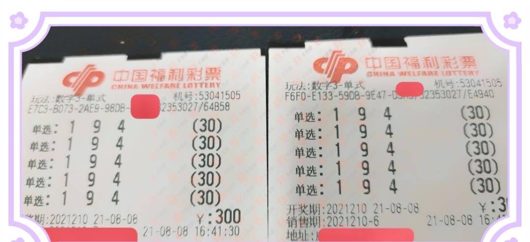 探索大乐透综合走势图，彩民网上的智慧与机遇