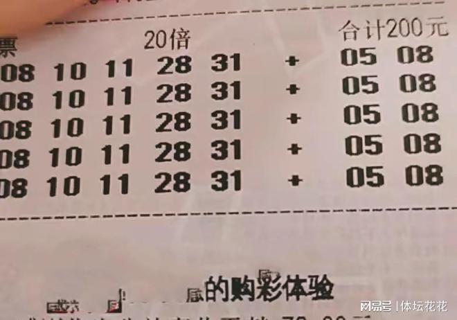 探索大乐透综合走势图，精准填写的奥秘
