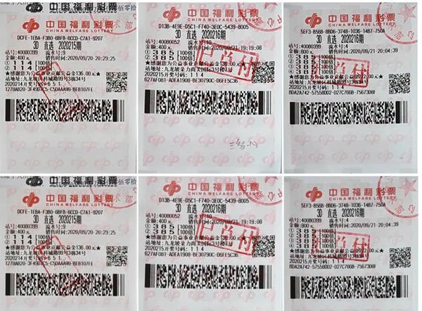 福彩3D，9月15日开奖号码揭秘与购买指南
