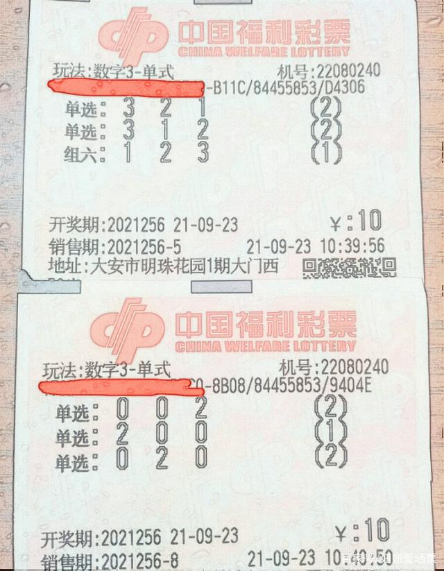 福彩3D开奖结果查询，今晚的惊喜与期待