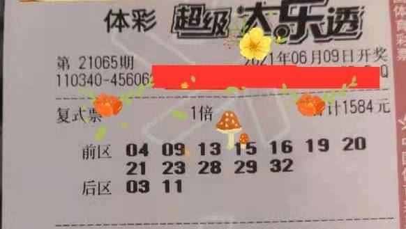 探秘体彩七星彩票204期开奖结果，数字背后的幸运与期待