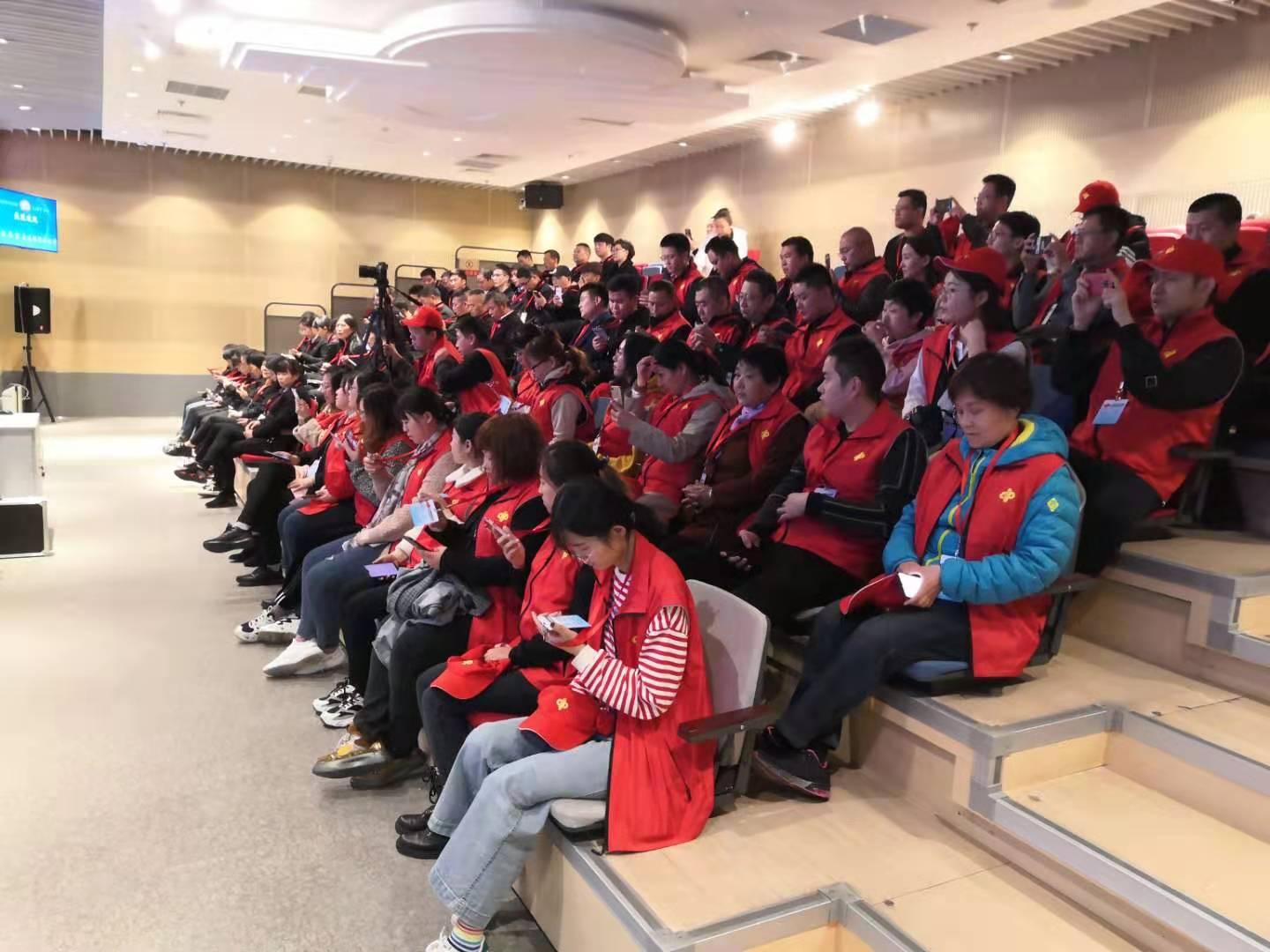 今夜双色球，揭秘开奖号码的神秘面纱