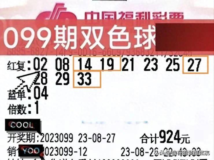 最新双色球第96期开奖结果揭晓，幸运数字引领梦想成真
