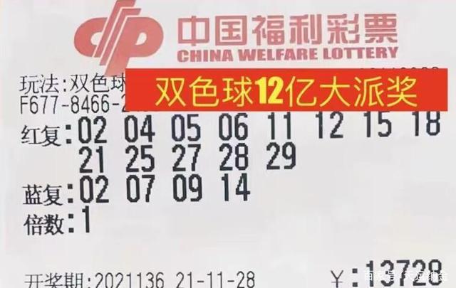 福彩3D今日开奖揭秘，最新三地试机号与幸运数字的碰撞